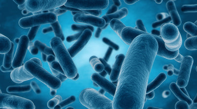 Health Nag of the day. Are probiotics a myth?